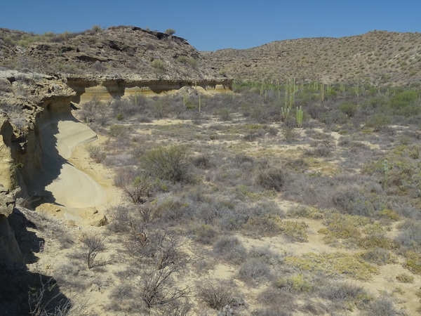 Valley above San Francisquito, Baja California