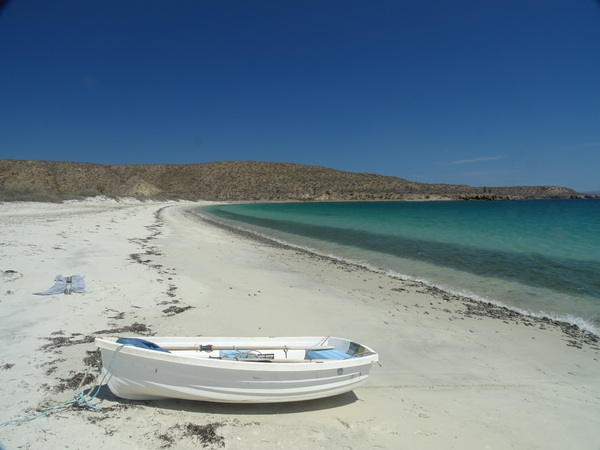 Beach at San Francisquito, Baja California