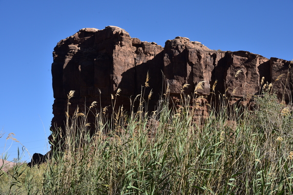 Rock bluffs and grasses at Lees Ferry, Arizona