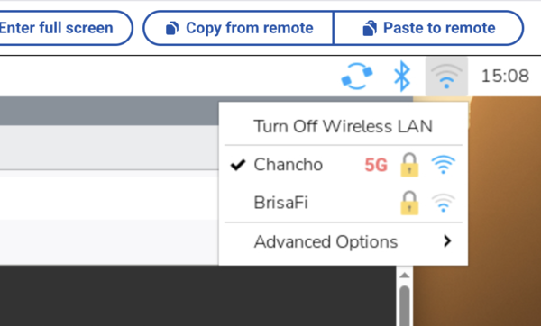 Network manager on the Pi