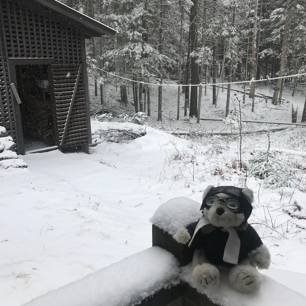 air bear and wood shed